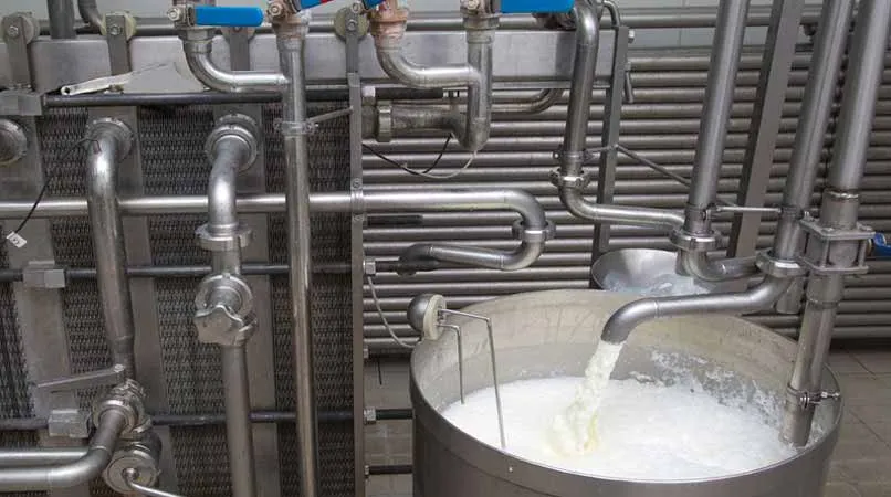 Food & Dairy Industry